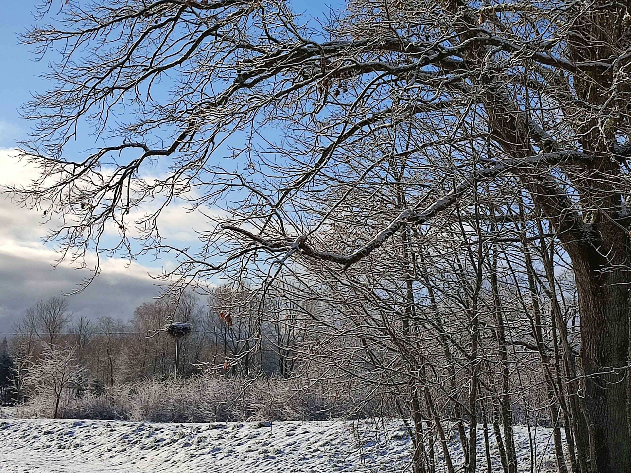 Sodybos 2Rest Place nuoma Žemaitijoje 12ai žmonių