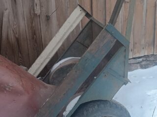 inbound5535285645320451777