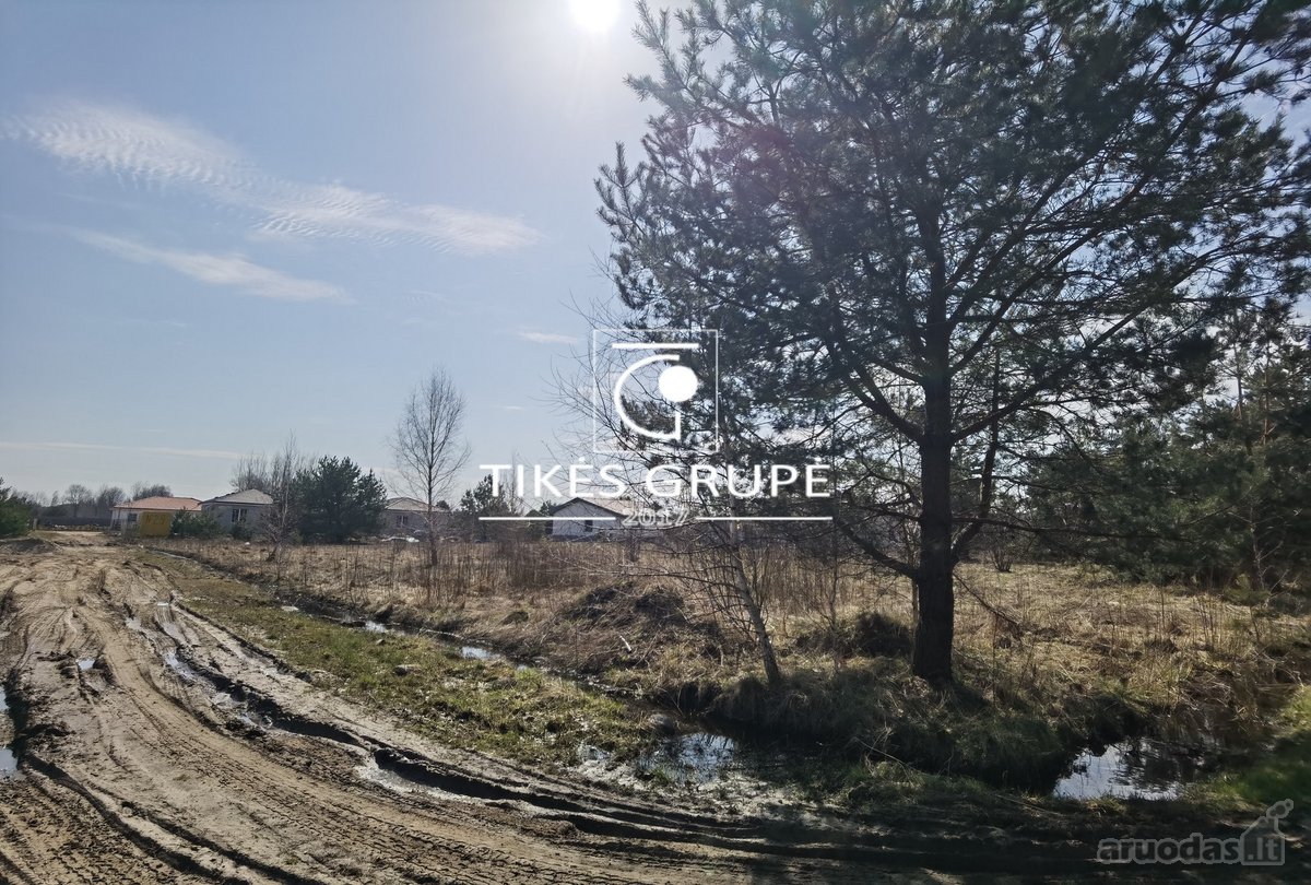 PARDUODAMAS 20 ARŲ SKLYPAS DITUVOS K., ŠALIA DITUVOS SODŲ.