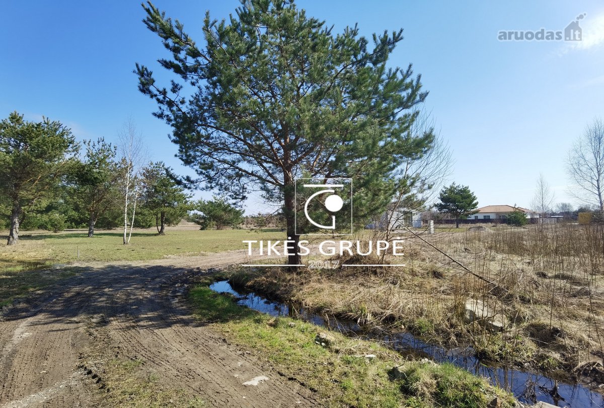 PARDUODAMAS 20 ARŲ SKLYPAS DITUVOS K., ŠALIA DITUVOS SODŲ.