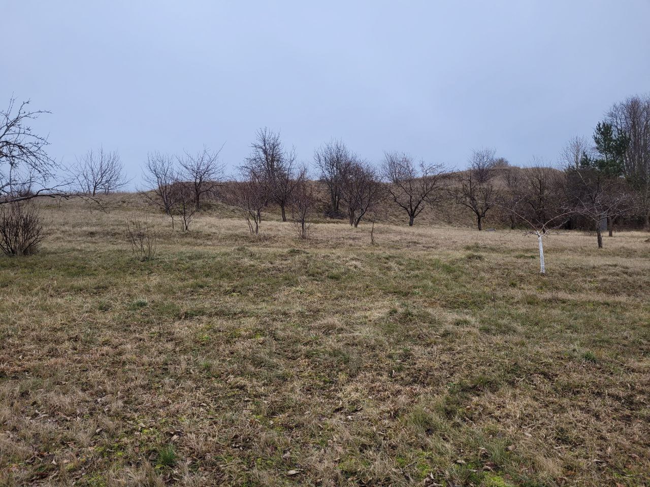 Parduodamas sodo sklypas Marijampolės sav. Liudvinavo k. REZERVUOTAS