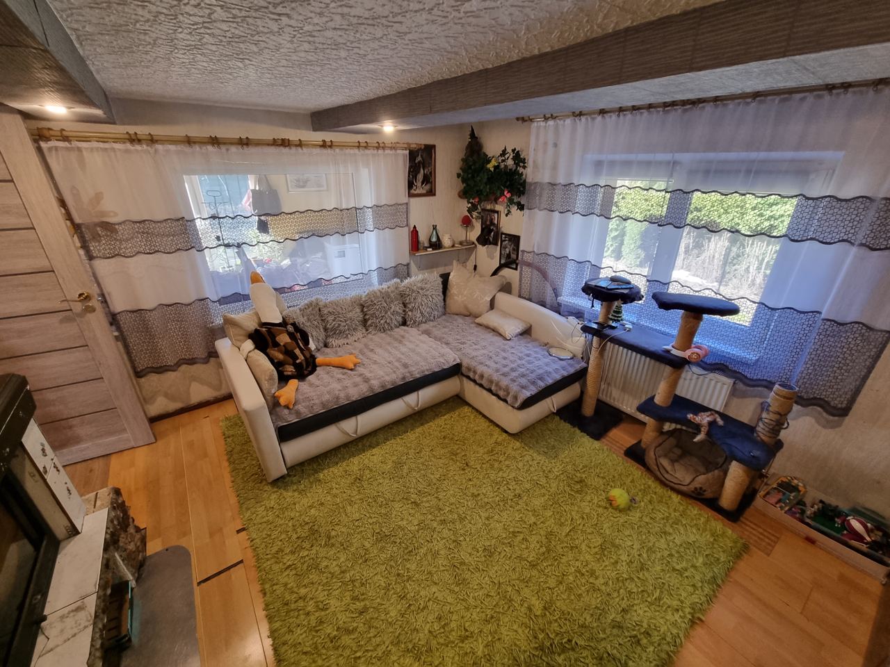 PARDUODAMAS NAMAS ŠALIA MIŠKO