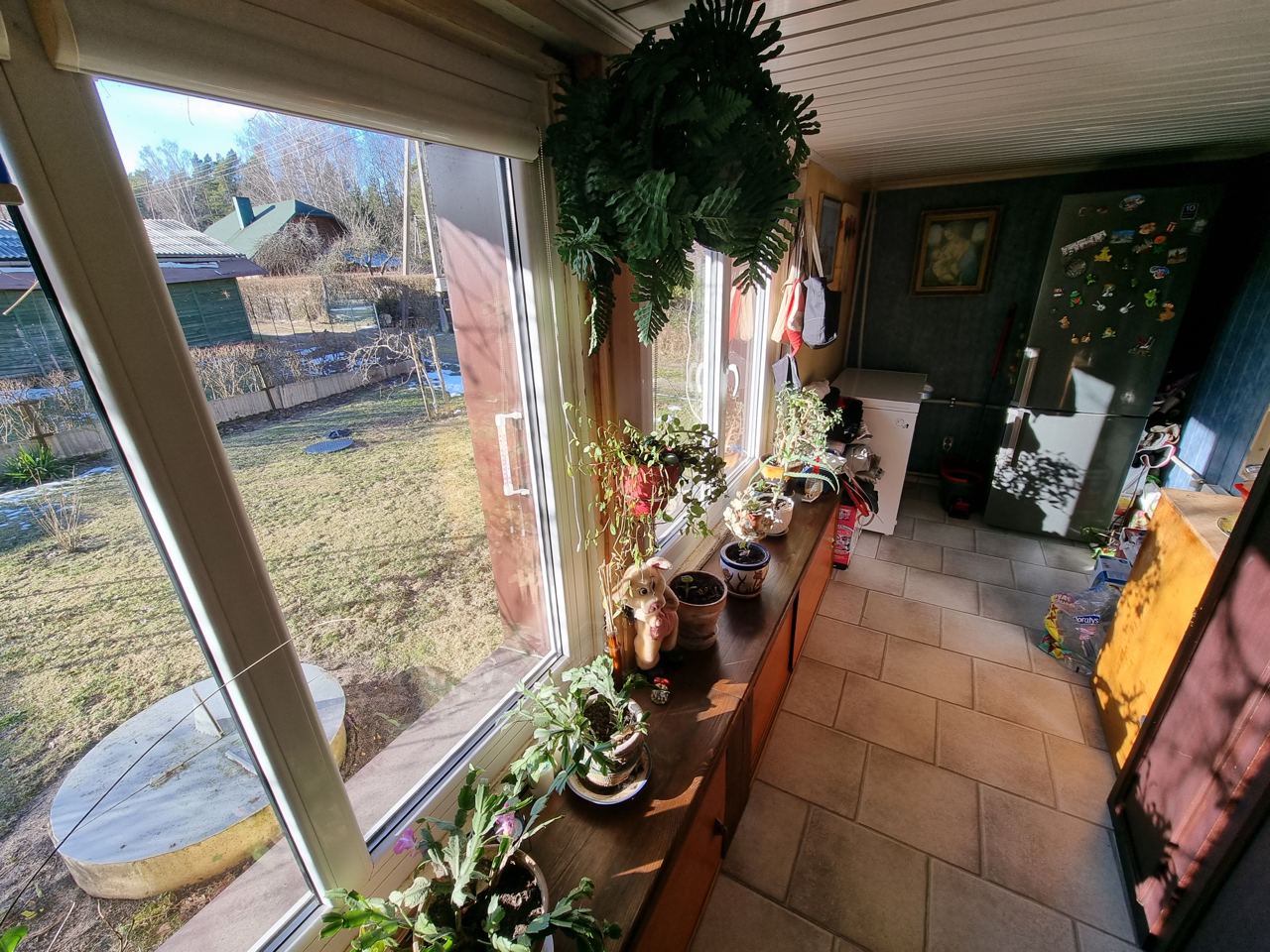 PARDUODAMAS NAMAS ŠALIA MIŠKO