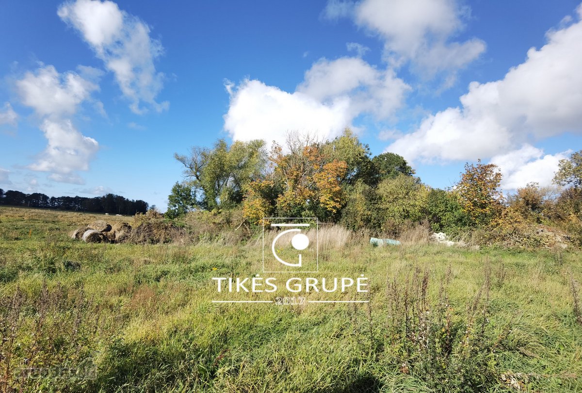 Nuostabiame pamario krašte, 1 km iki Ventės rago ir šalia Šturmų uostelio parduodami 5,16 hektaro žemės ūkio paskirties sklypai. Sutvarkyti žemėtvarkos sutikimai pardavimui.