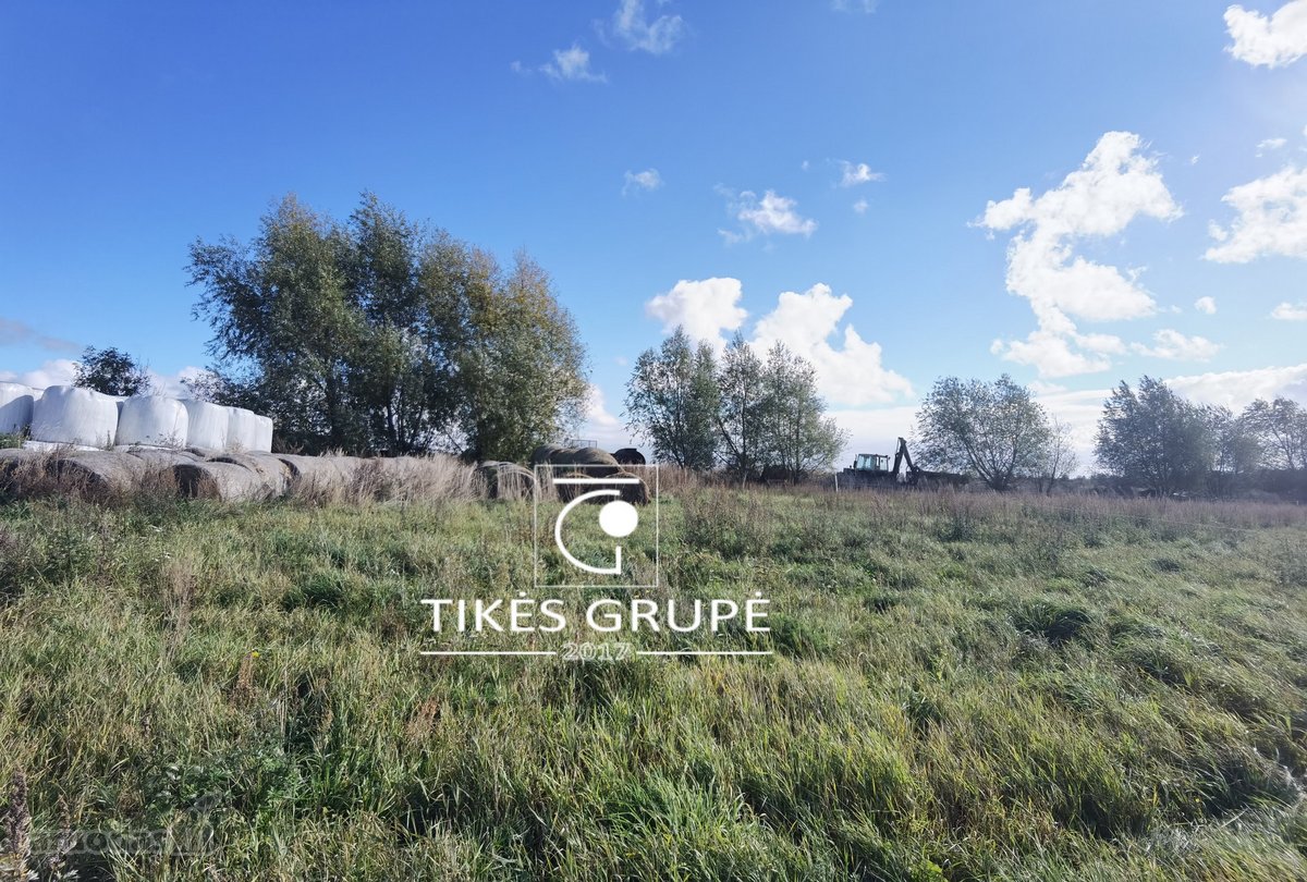 Nuostabiame pamario krašte, 1 km iki Ventės rago ir šalia Šturmų uostelio parduodami 5,16 hektaro žemės ūkio paskirties sklypai. Sutvarkyti žemėtvarkos sutikimai pardavimui.