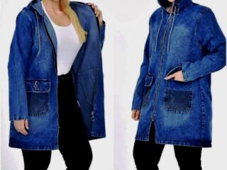 1091_dzinsinis_svarkas_dideli_dydziai