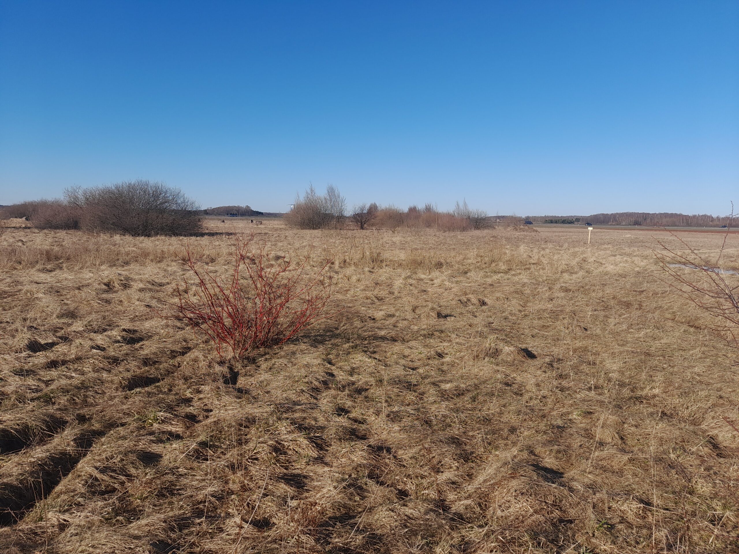 Parduodamas 30,11 arų sklypą Šlapšilės km, Žiburių g. 25. Klaipėdos raj. Namų valda