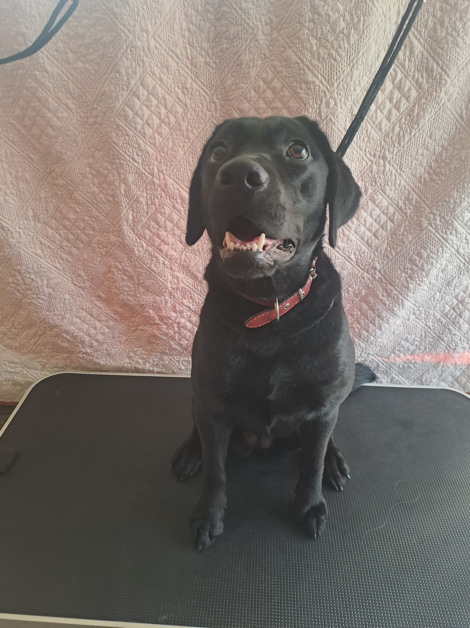 Kviečiu apsikirpti,nusikailinti pigiau iki 25€