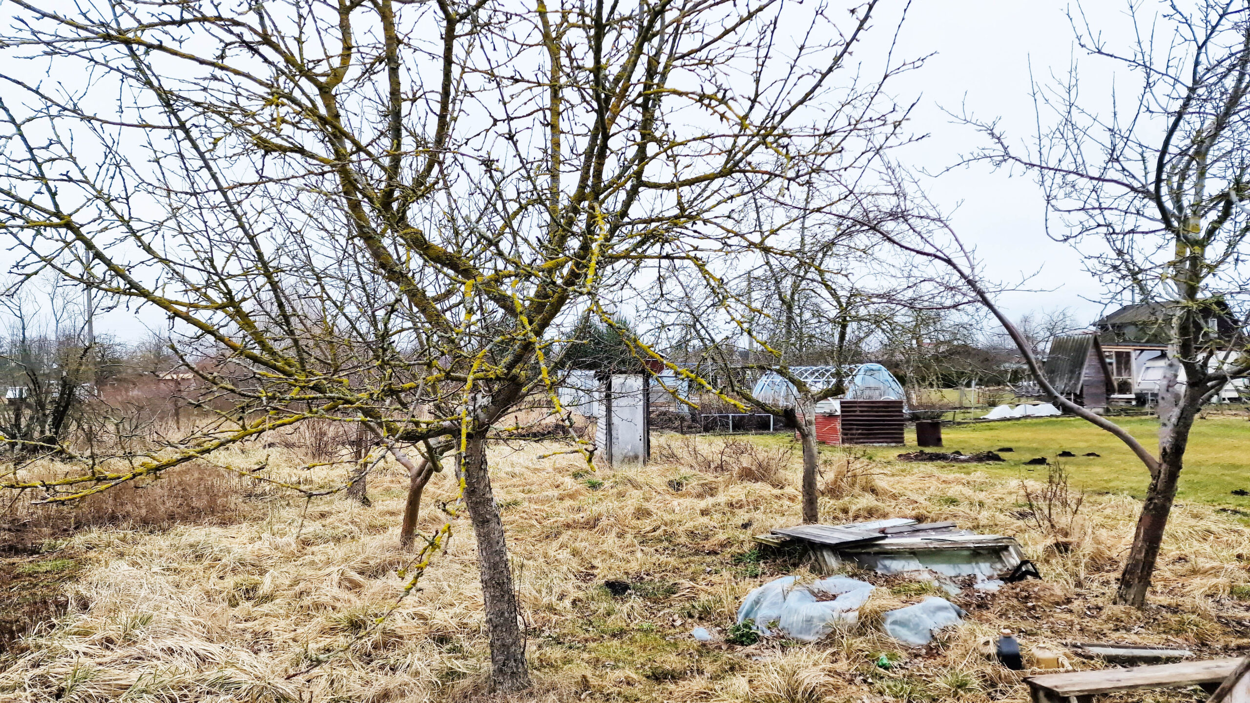 Parduodamas 6 arų sodas su mediniu namuku Panevėžio raj., Janališkių k. Pušų al.