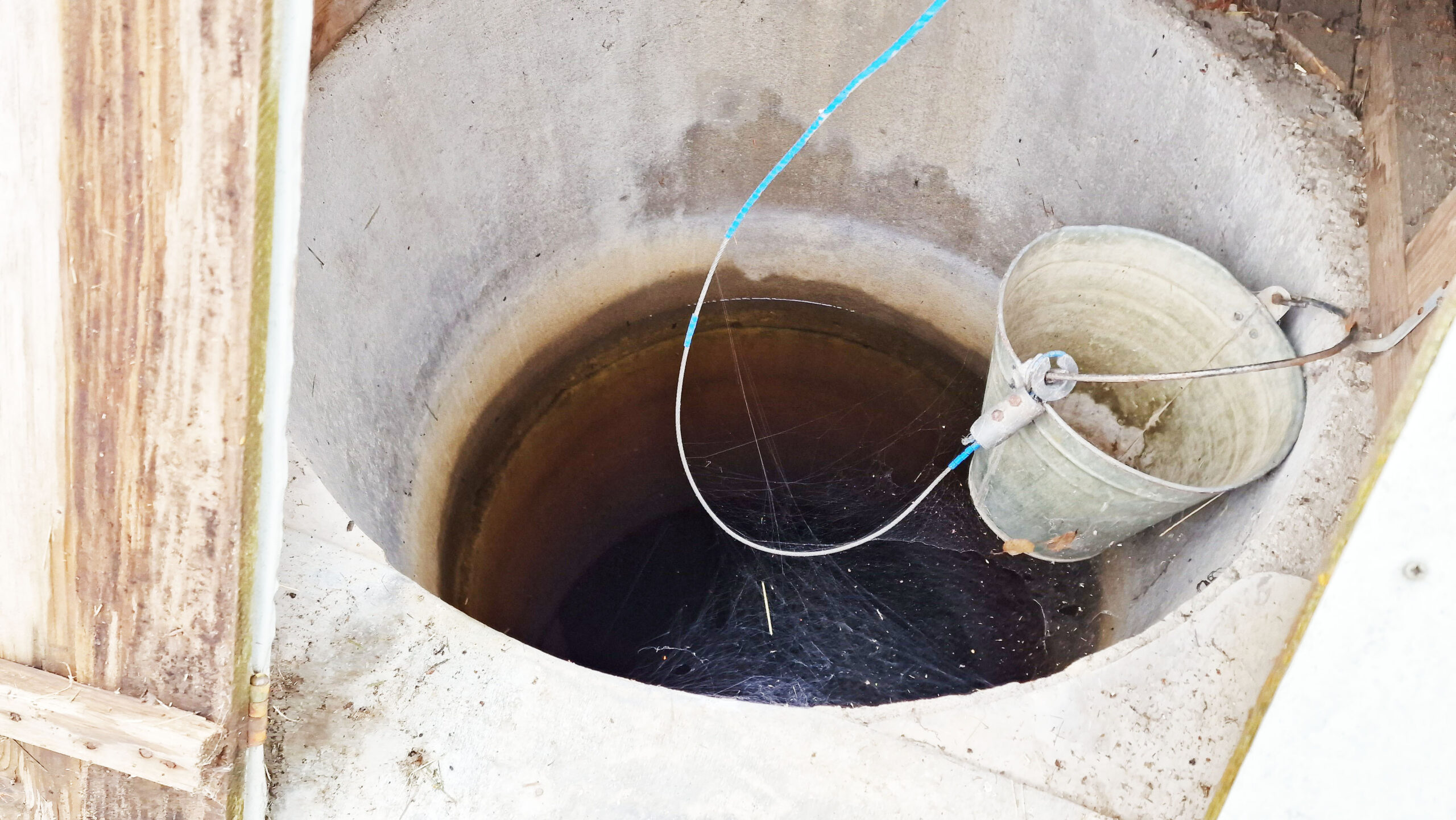 Parduodamas 6 arų sodas su mediniu namuku Panevėžio raj., Janališkių k. Pušų al.