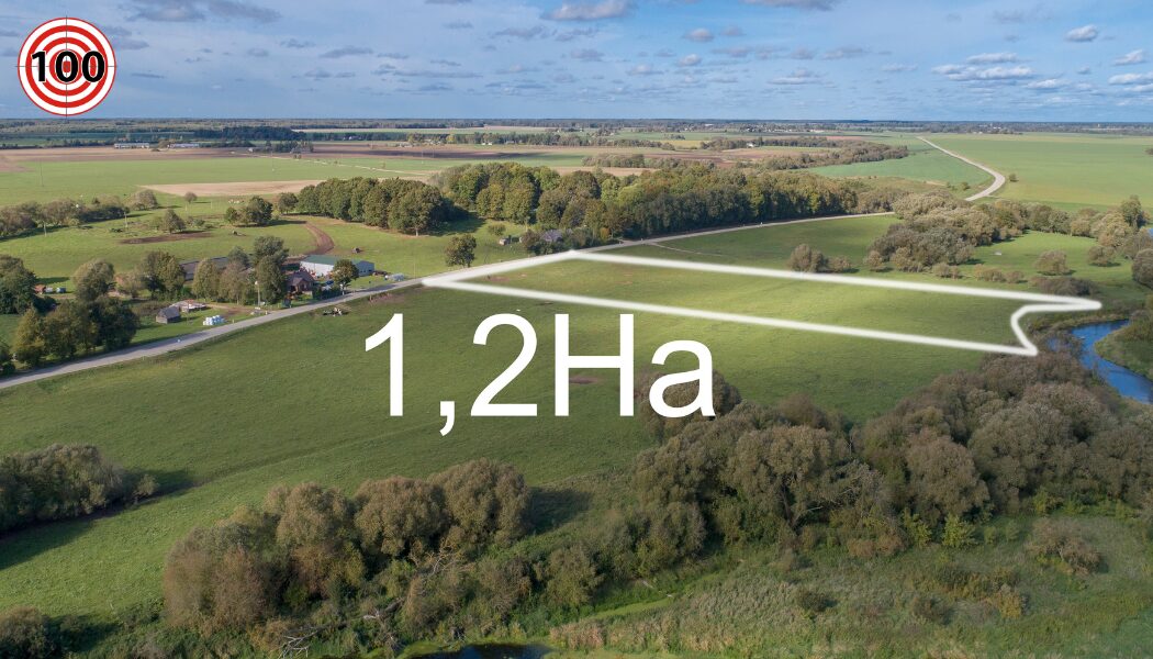 Parduodamas namas su ūkiu.