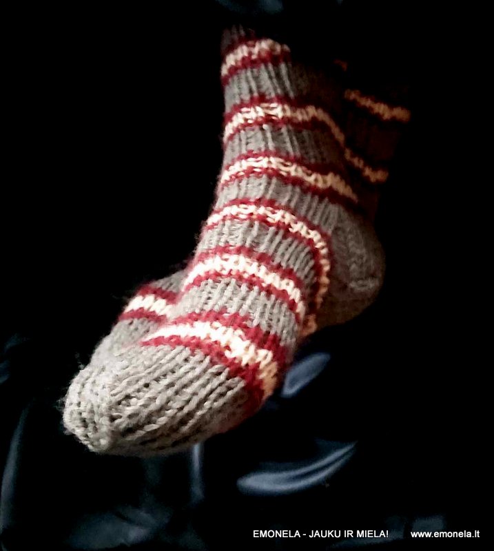 MEGZTOS KOJINĖS, ilgesnis auliukas, 40-45 d.