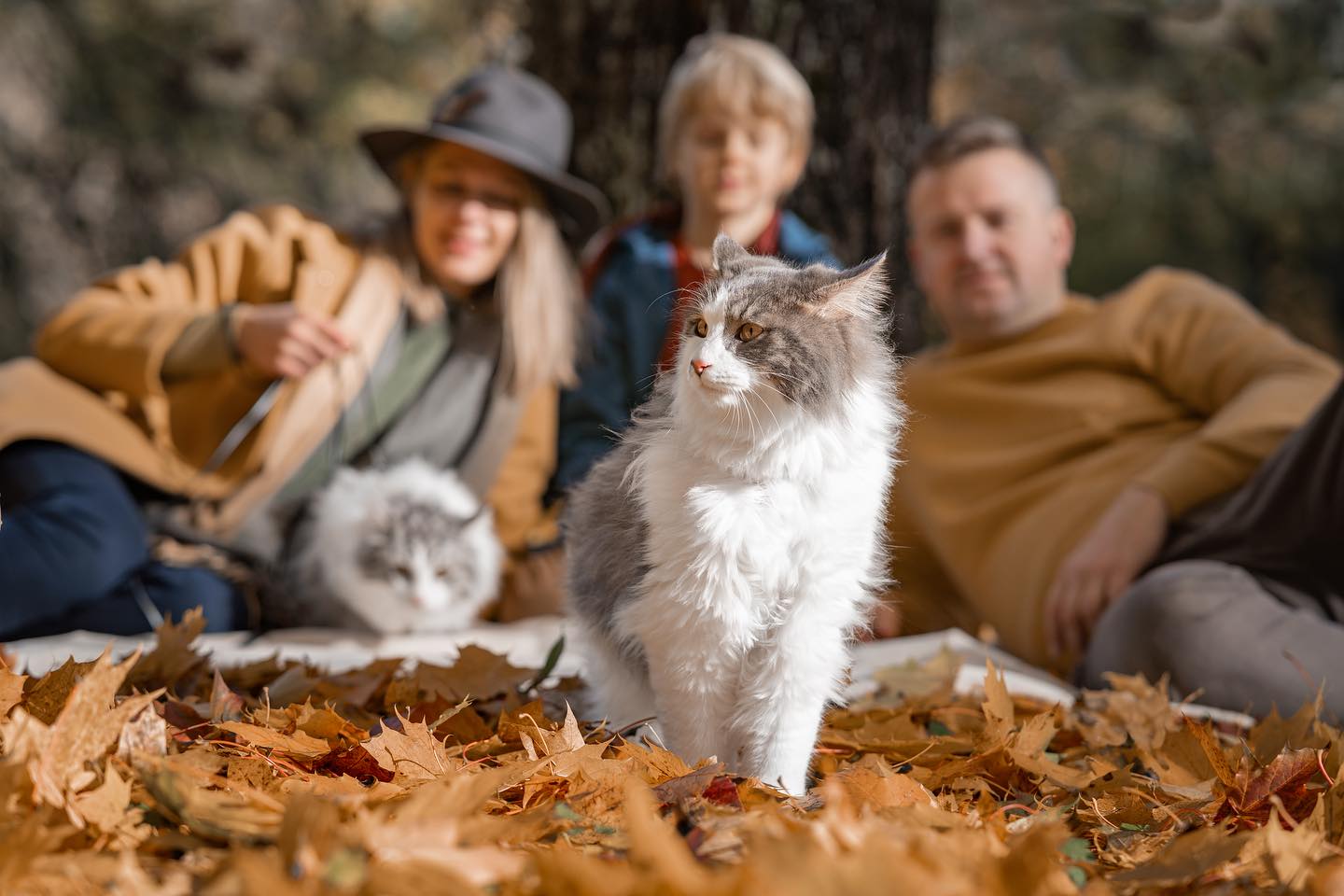 Photography by Aliona