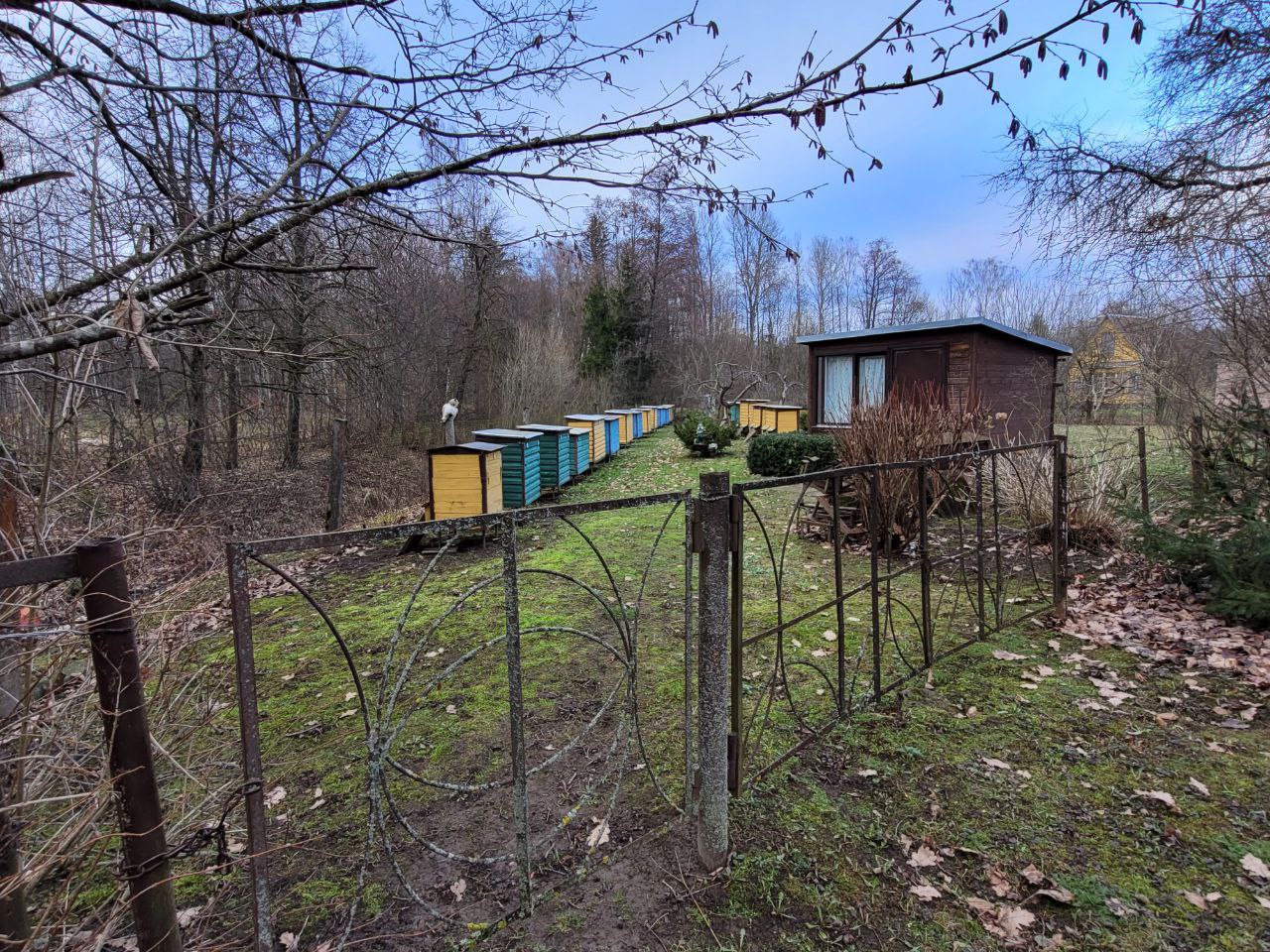 sodas Marijampolės sav., Sasnavos sen.