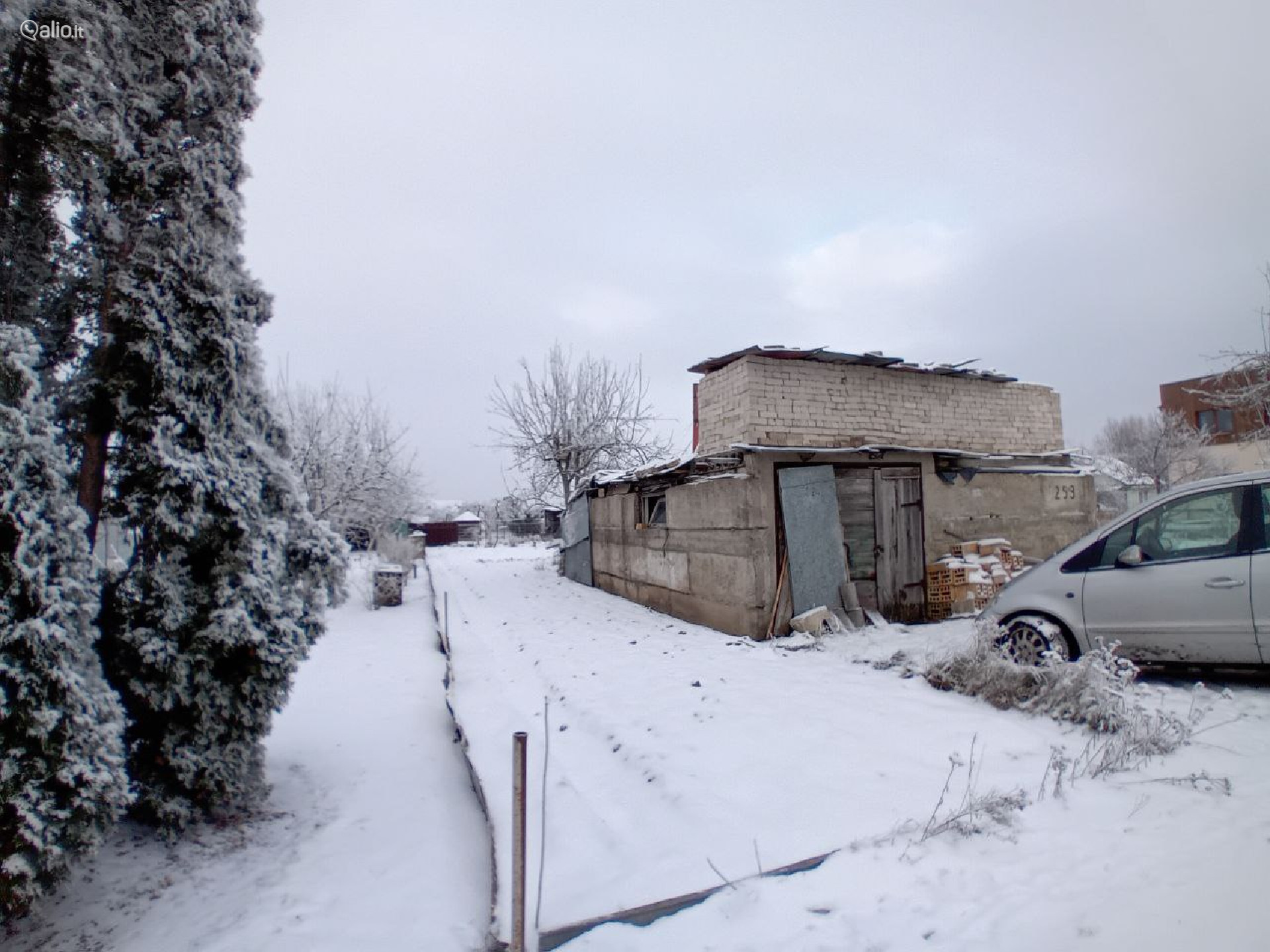 SODAS NETOLI MIŠKO, ŠIAULIŲ R., NOREIKIŲ K.