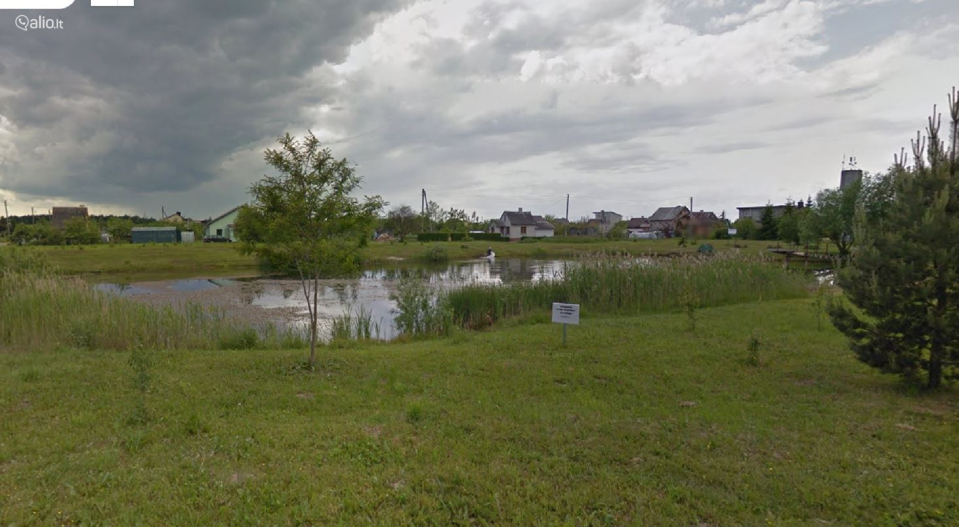 SODAS NETOLI MIŠKO, ŠIAULIŲ R., NOREIKIŲ K.