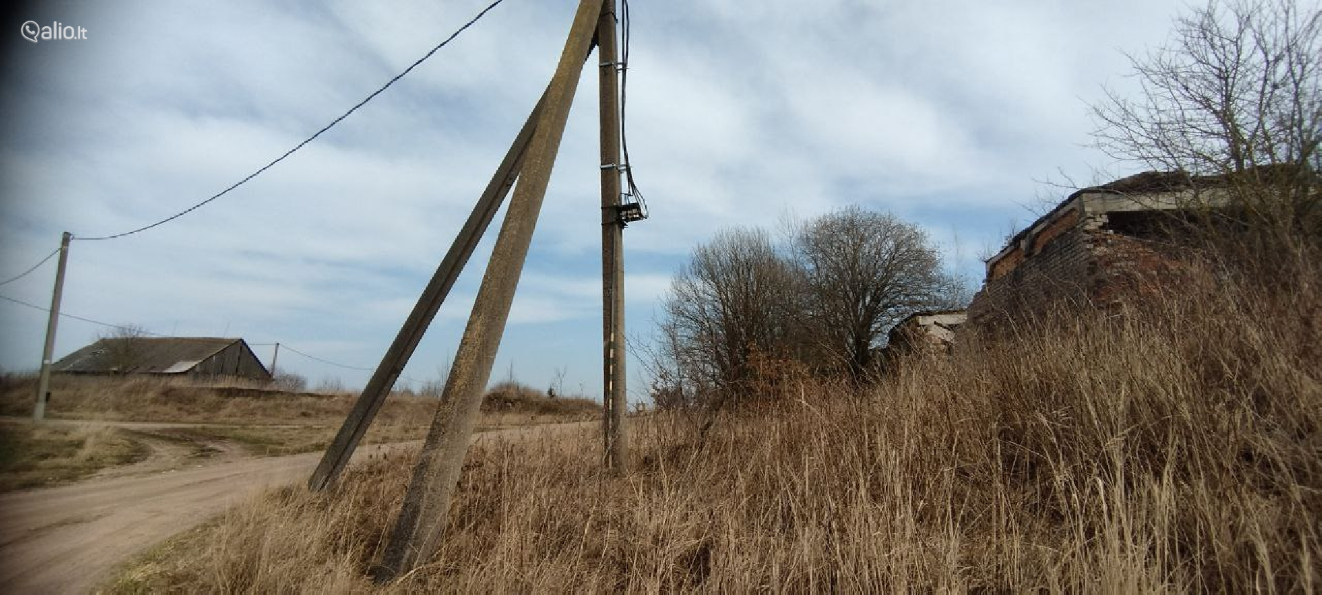 SKLYPAI SU SENAIS ĄŽUOLAIS, PRIENŲ R., VARTŲ K.