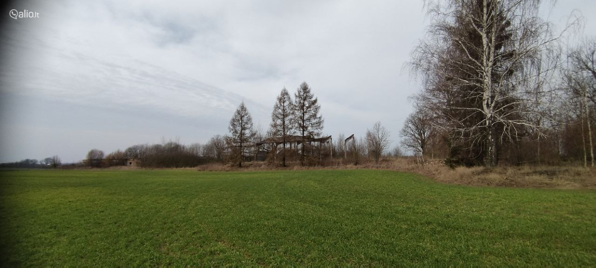 SKLYPAI SU SENAIS ĄŽUOLAIS, PRIENŲ R., VARTŲ K.