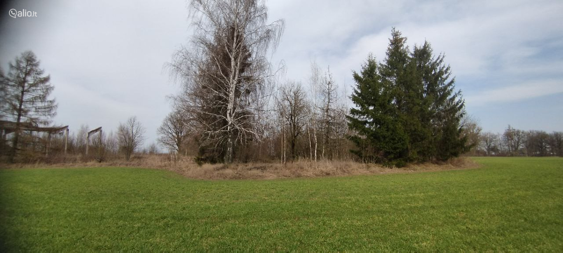 SKLYPAI SU SENAIS ĄŽUOLAIS, PRIENŲ R., VARTŲ K.
