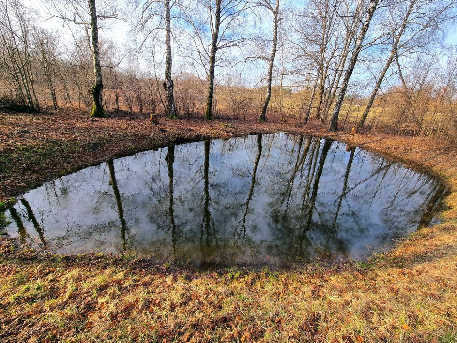 3 KAMBARIŲ BUTAS SU SKLYPU, PANEVĖŽIO R., RAMYGALA