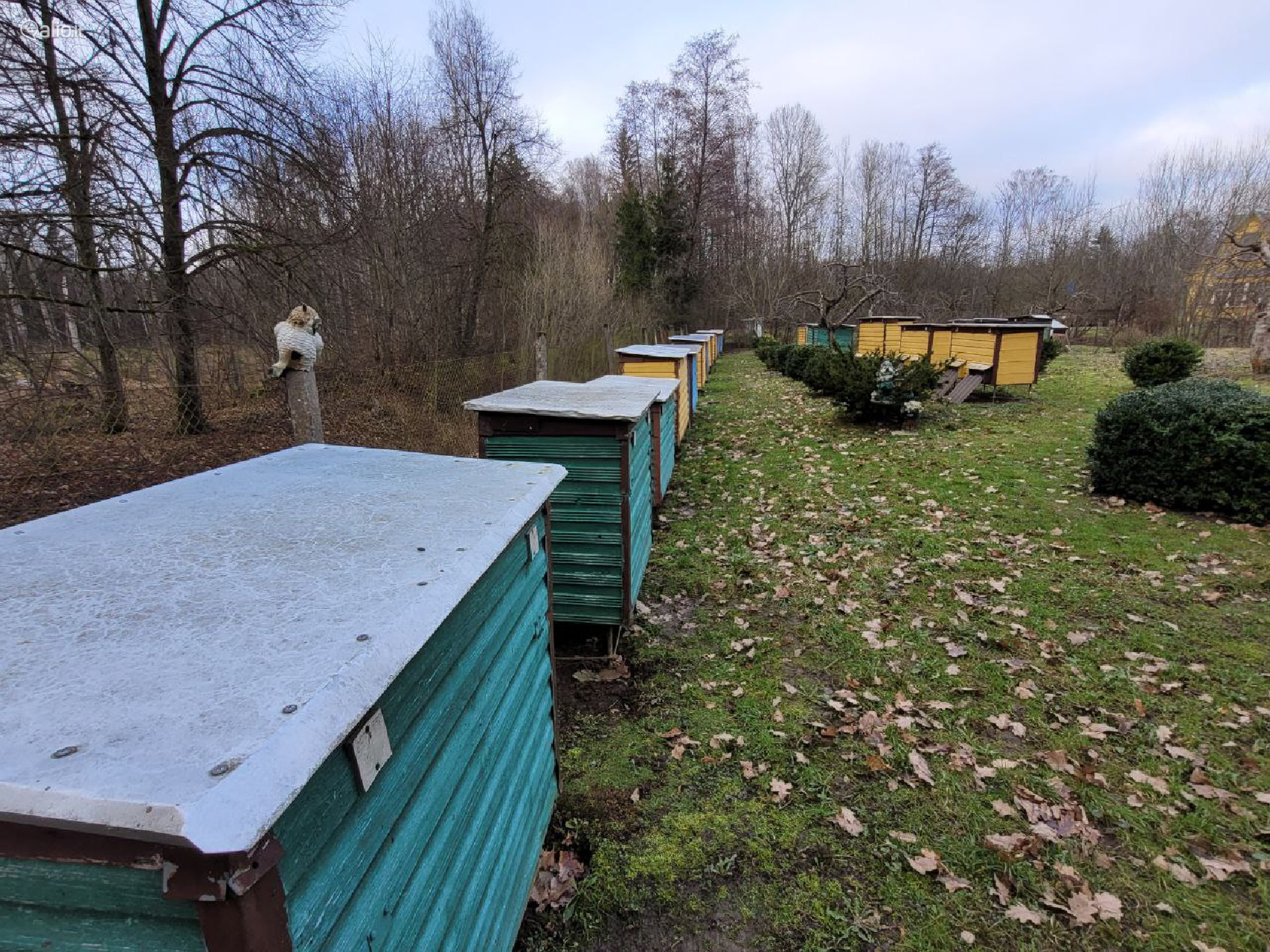 SODAS ŠALIA MIŠKO, MARIJAMPOLĖS R.