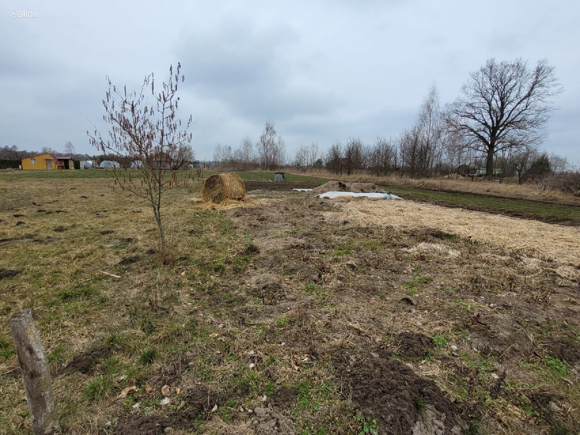 DU SODO SKLYPAI, PARDUODAMI KARTU IR ATSKIRAI, MARIJAMPOLĖS R.