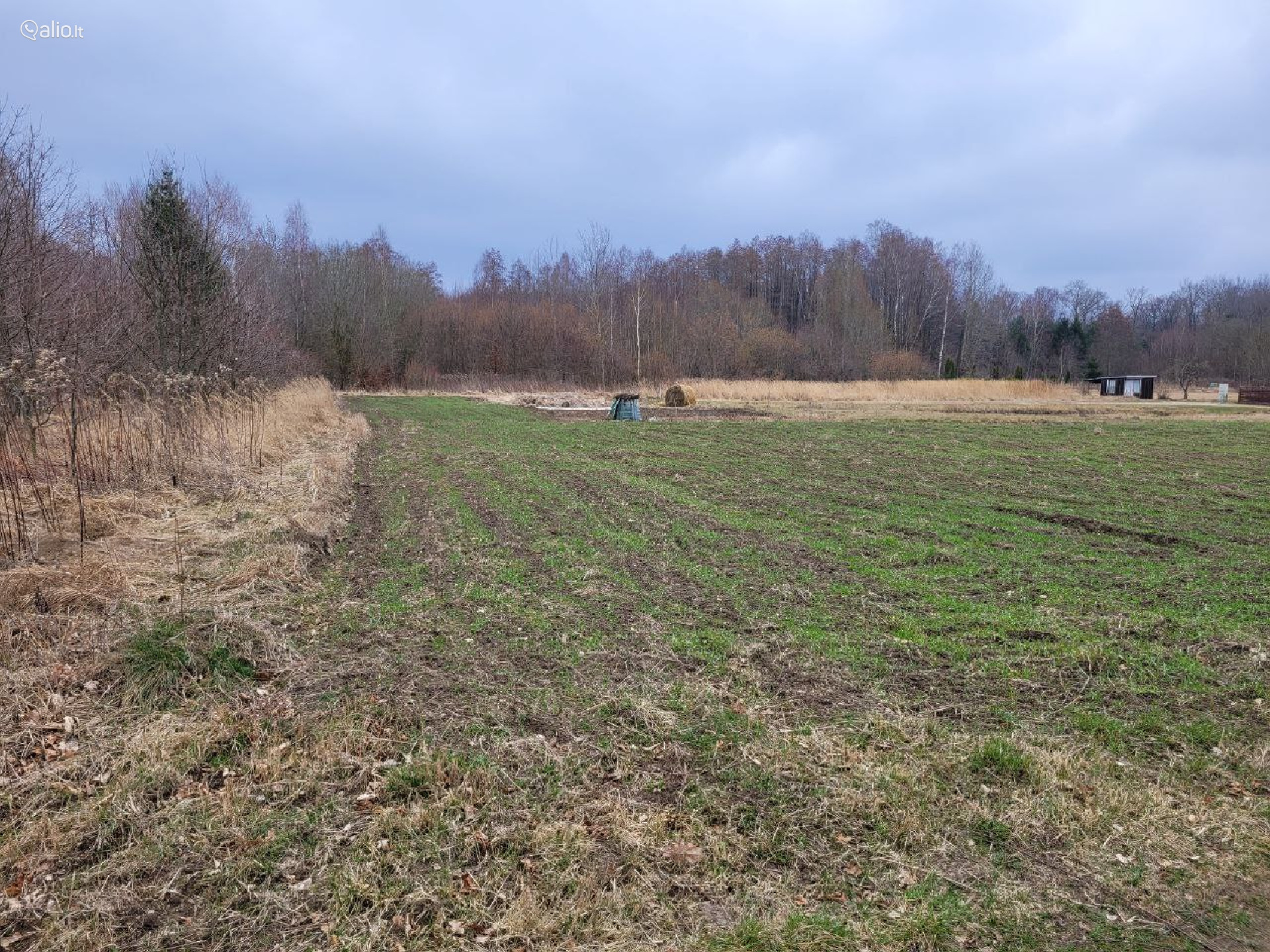 DU SODO SKLYPAI, PARDUODAMI KARTU IR ATSKIRAI, MARIJAMPOLĖS R.