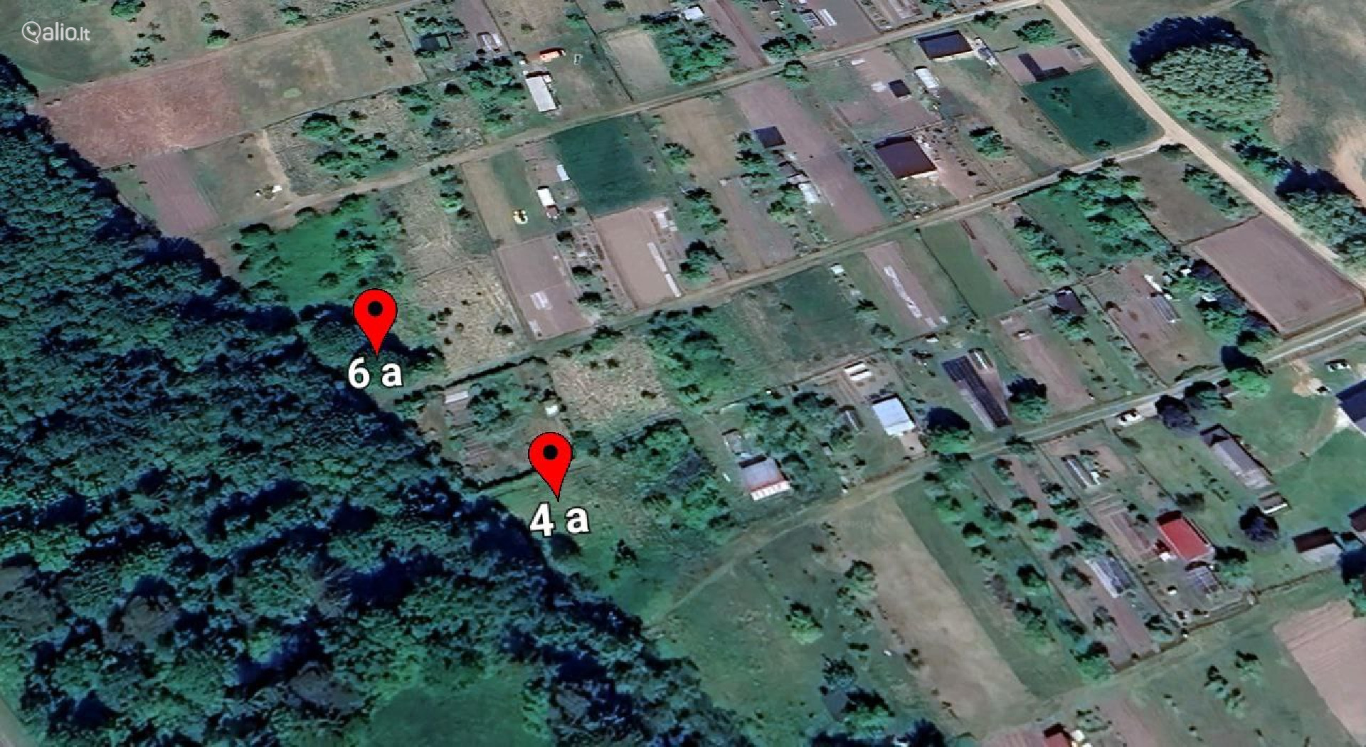 2 SKLYPAI ŠALIA MIŠKO, DEMBAVOS K., PANEVĖŽIO R.