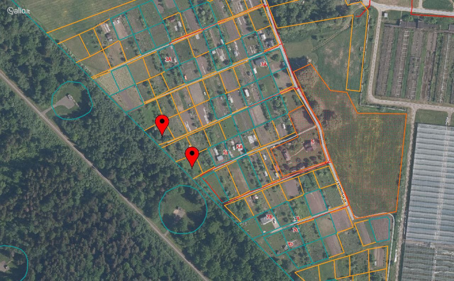 2 SKLYPAI ŠALIA MIŠKO, DEMBAVOS K., PANEVĖŽIO R.