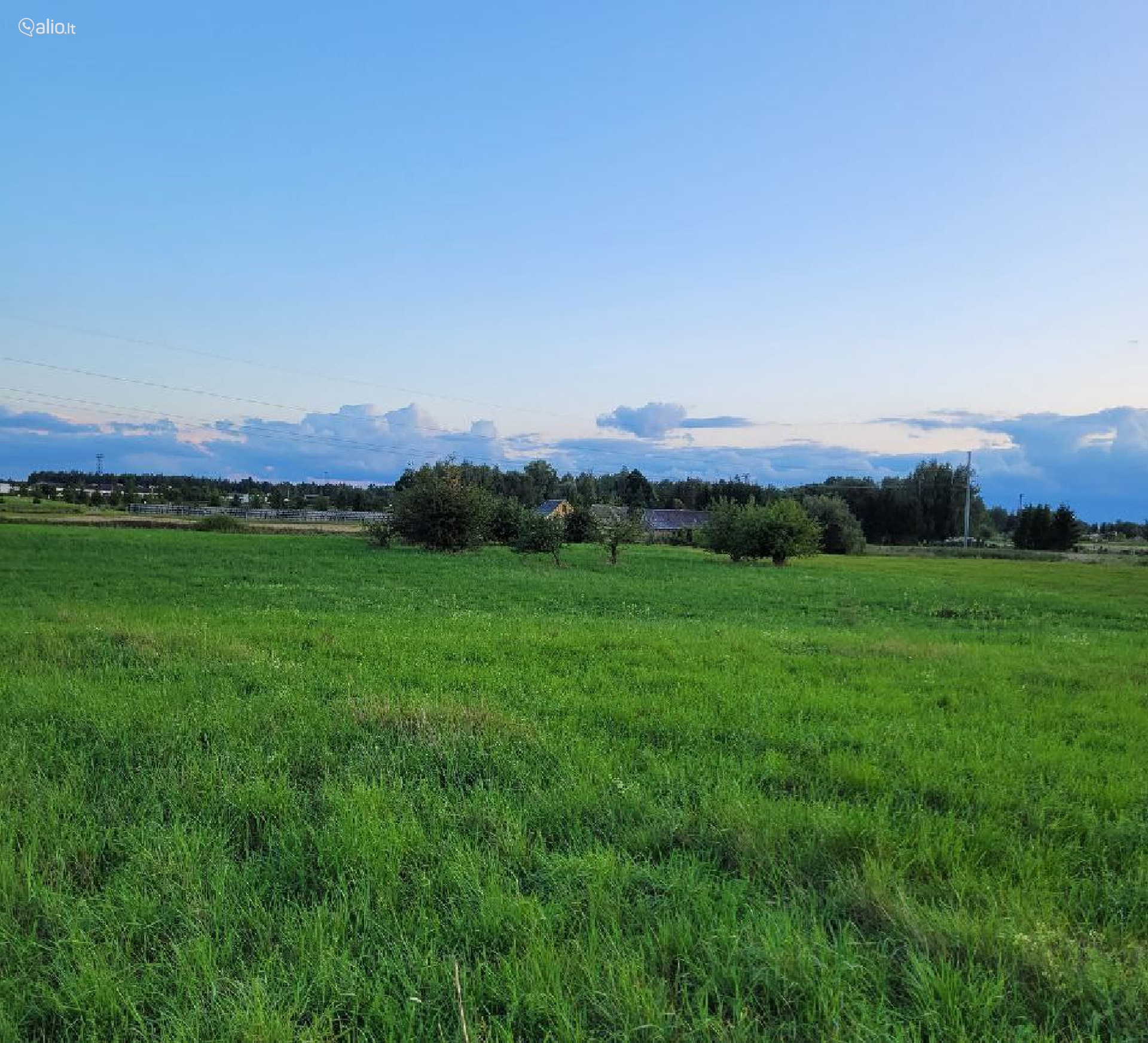 SKLYPAI ANT UPĖS KRANTO PYRAGIŲ K., KUPIŠKIO R.