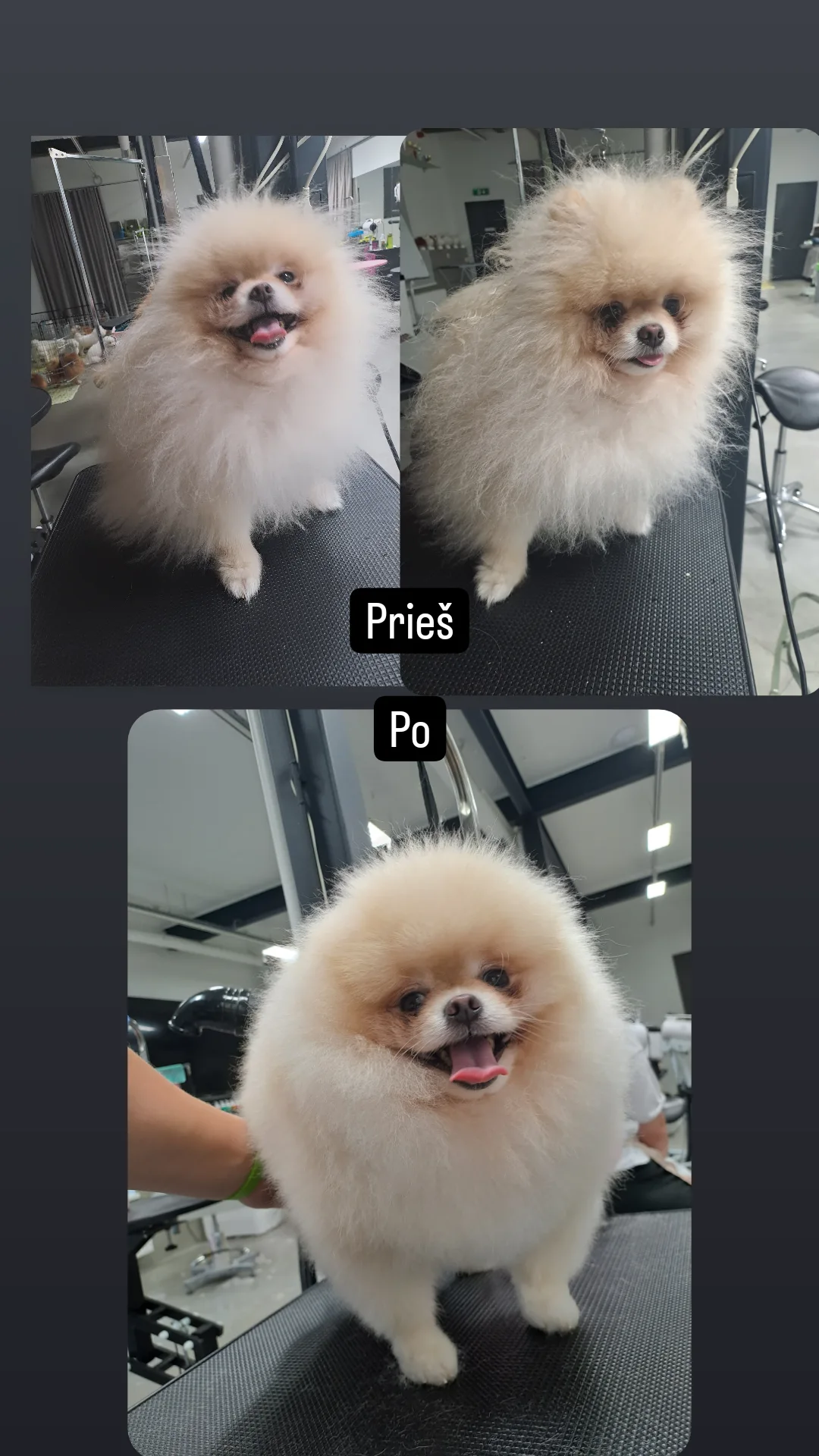 Kviečiu apsikirpti,nusikailinti pigiau iki 25€