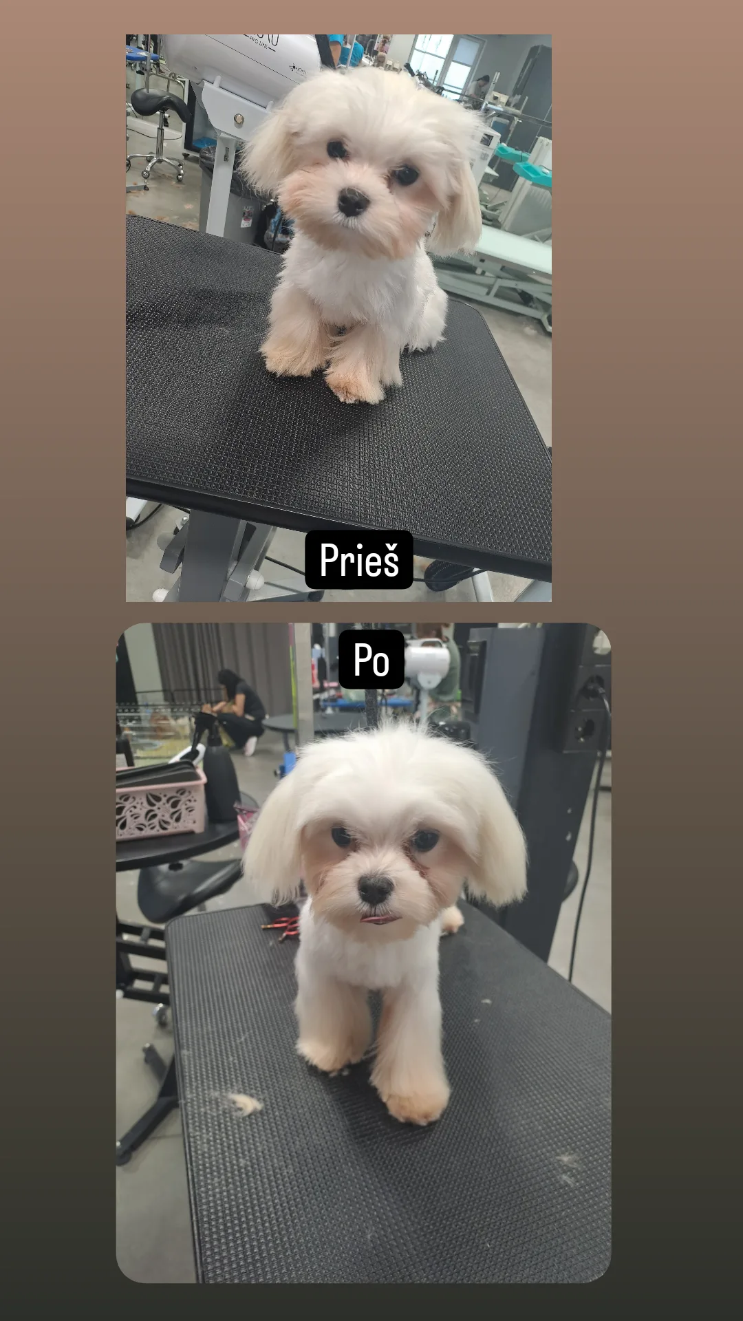 Kviečiu apsikirpti,nusikailinti pigiau iki 25€