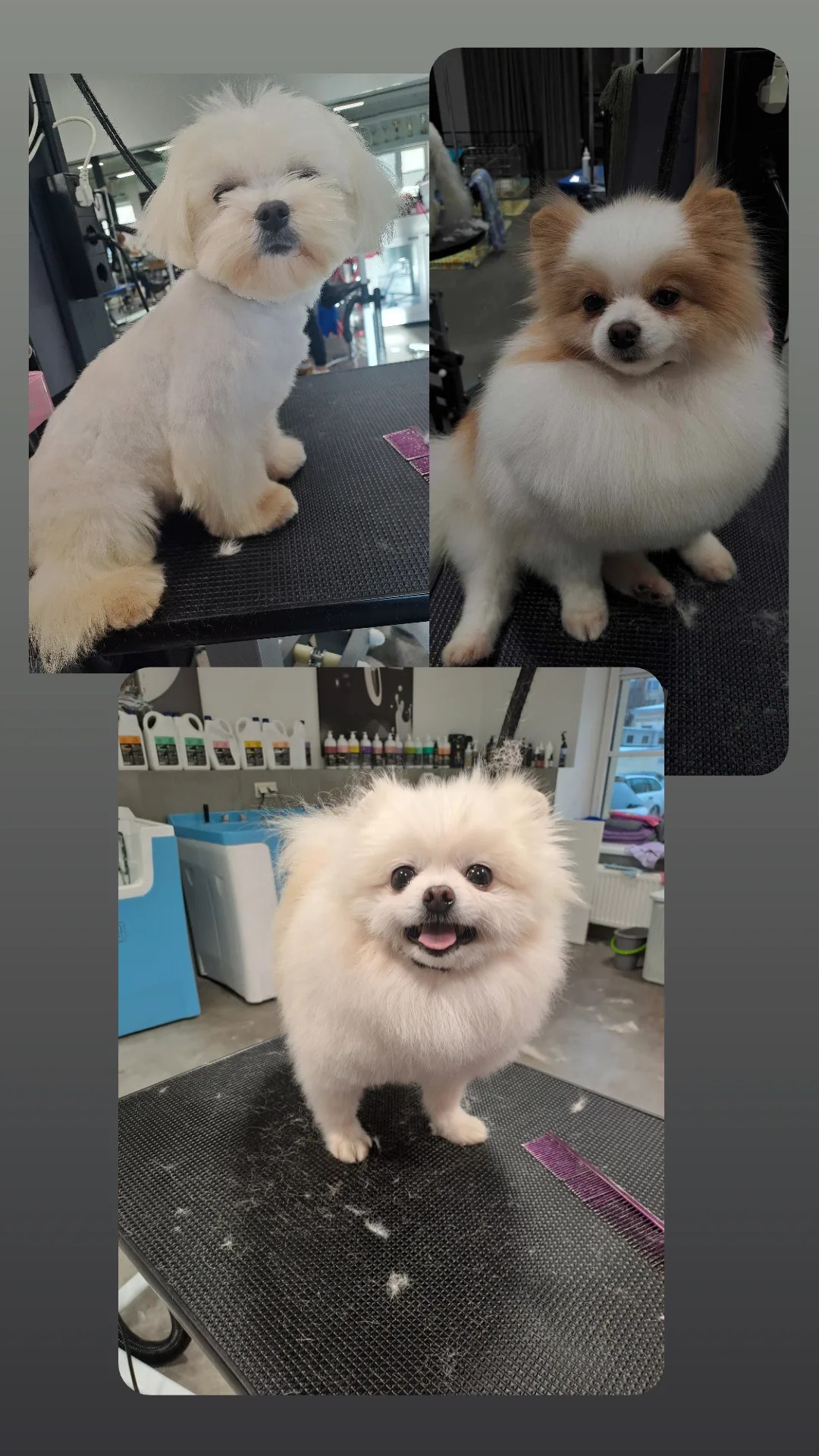 Kviečiu apsikirpti,nusikailinti pigiau iki 25€