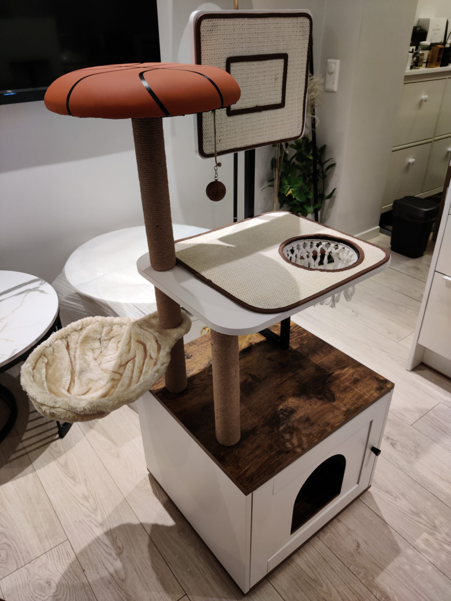 Draskyklė – kačių namelis