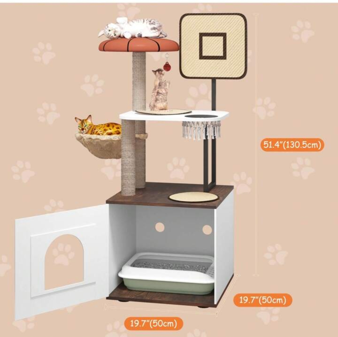 Draskyklė – kačių namelis