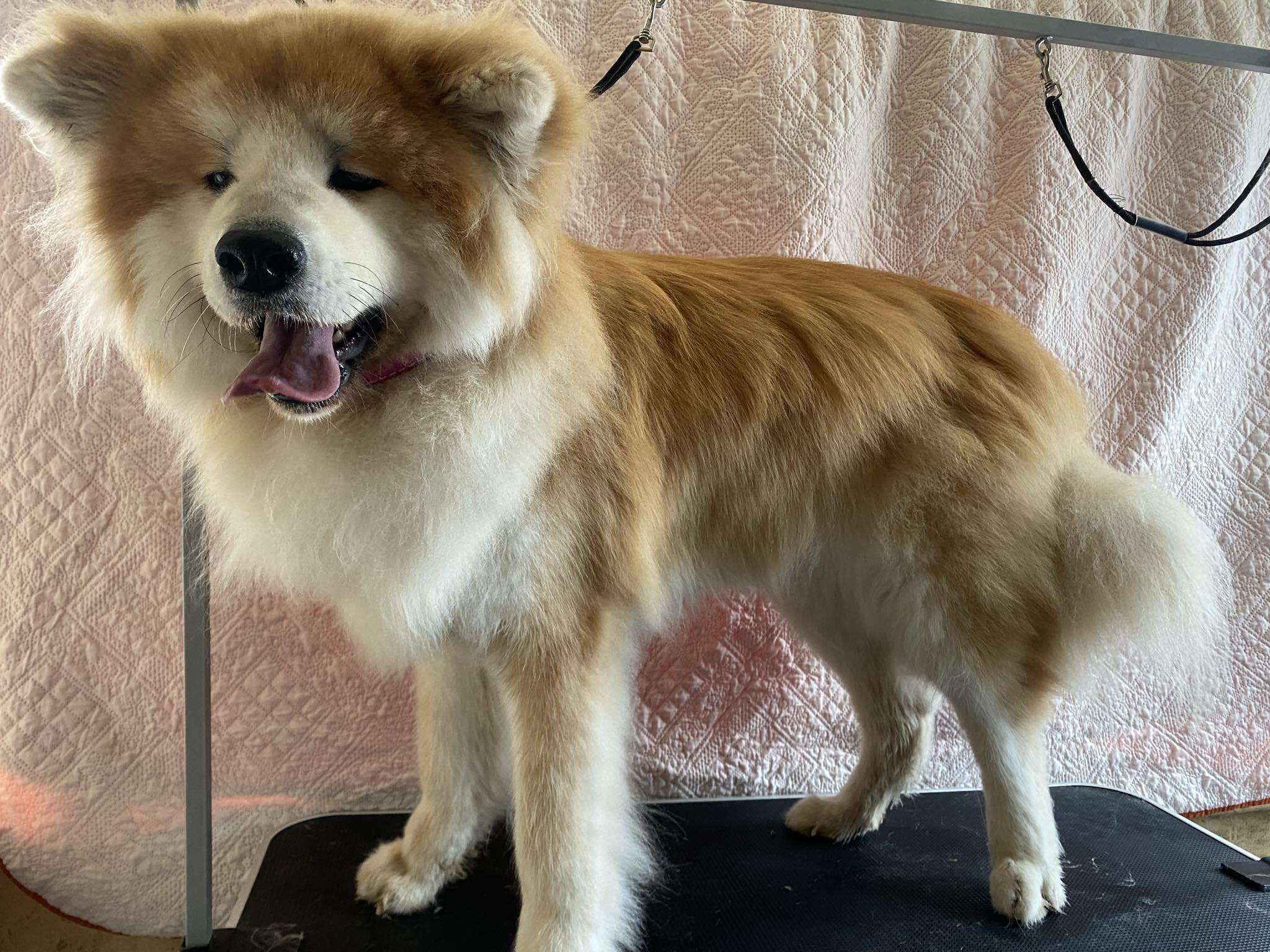 Kviečiu apsikirpti,nusikailinti pigiau iki 25€