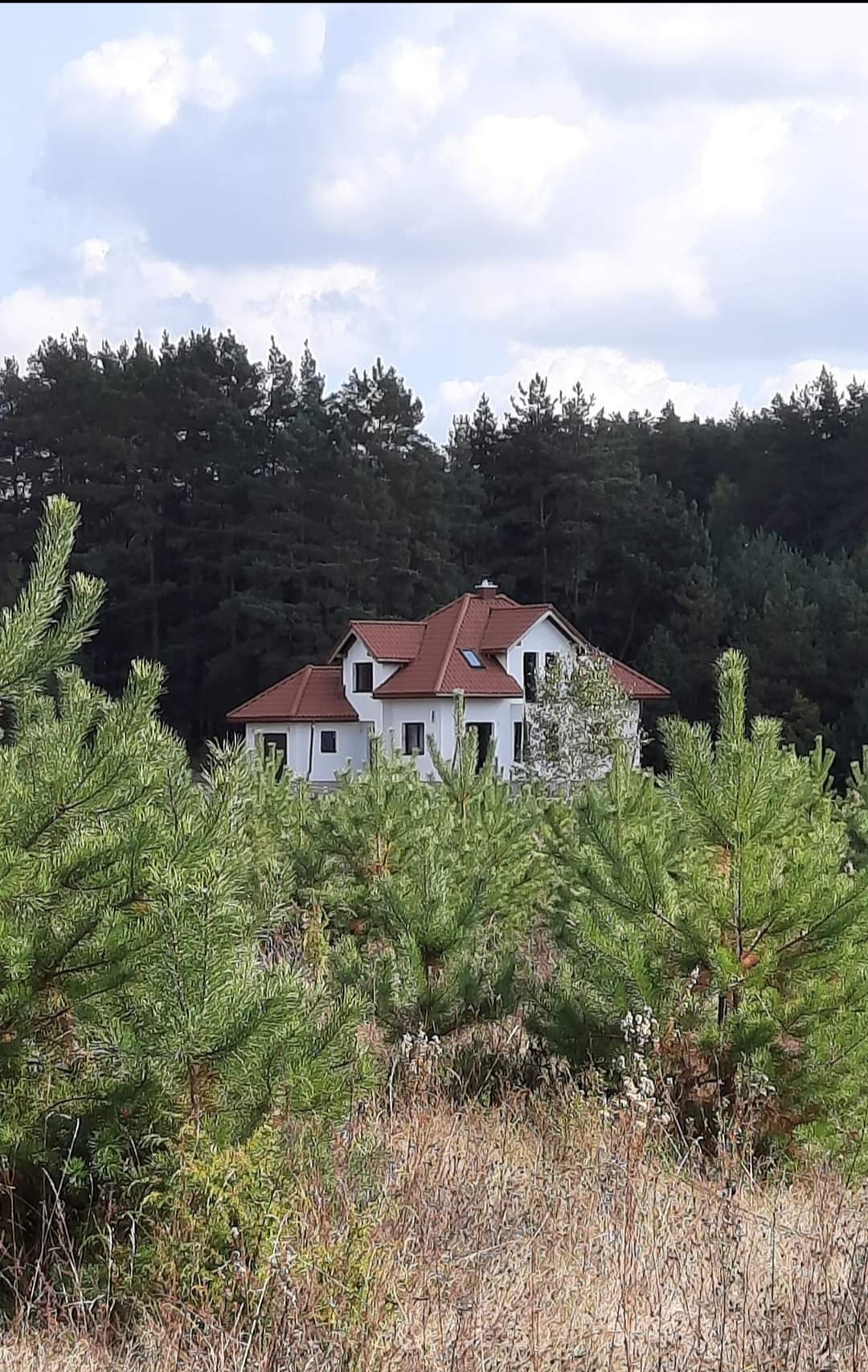 Namų valdos sklypai pušyne, prie Trakų