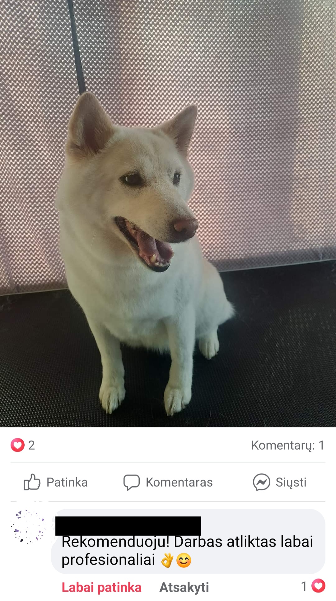 Kviečiu apsikirpti,nusikailinti pigiau iki 25€