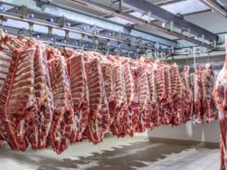 cow-slaughter-570×240-1