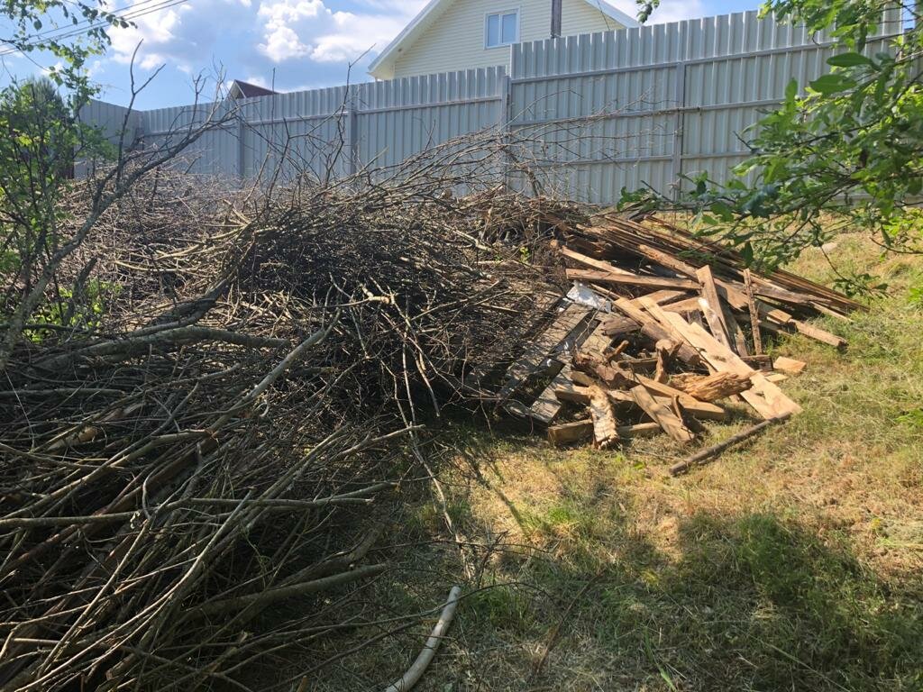 Šakų išvežimas Panevėžyje