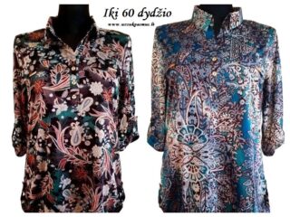 palaidine_dideli_dydziai