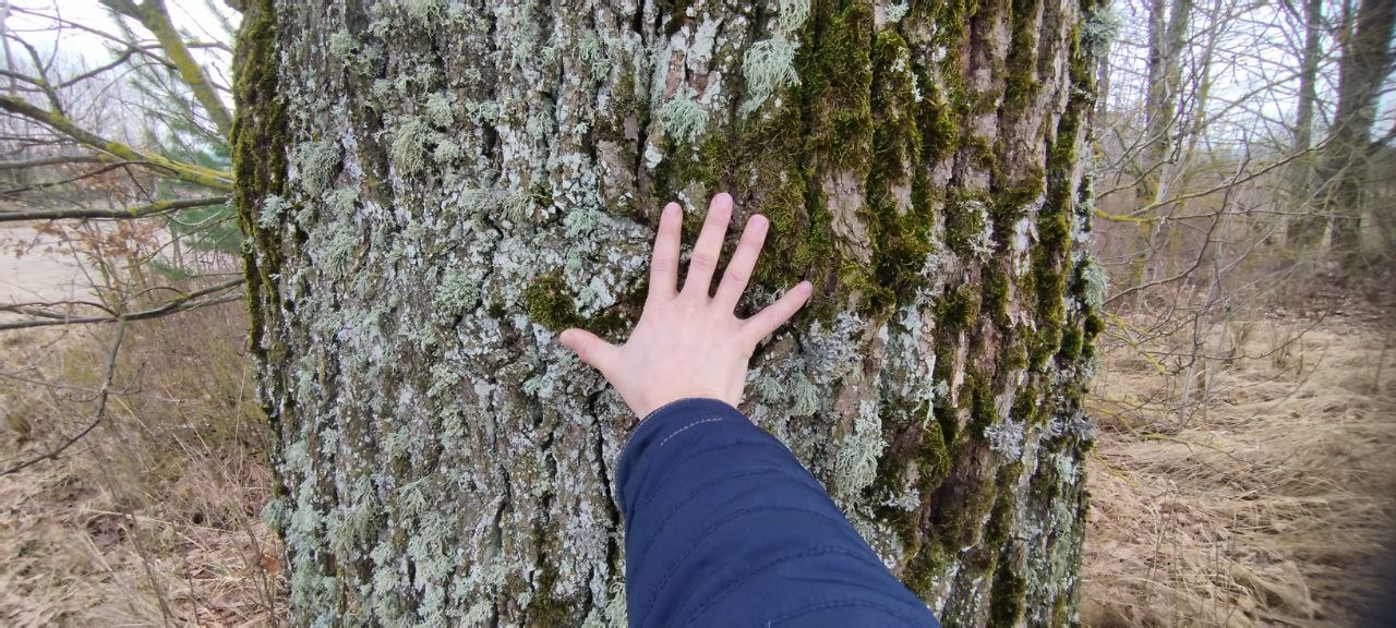 2 sklypai Prienų r. sav., Balbieriškio sen., Vartų k.