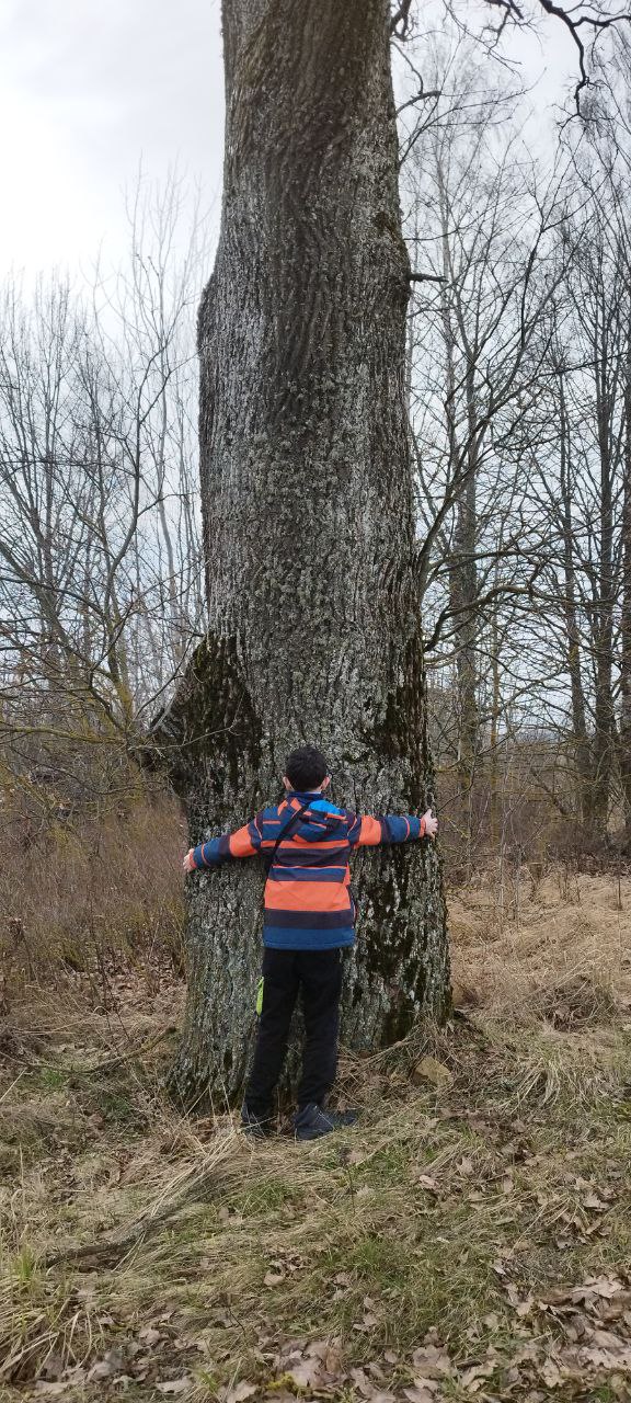 2 sklypai Prienų r. sav., Balbieriškio sen., Vartų k.