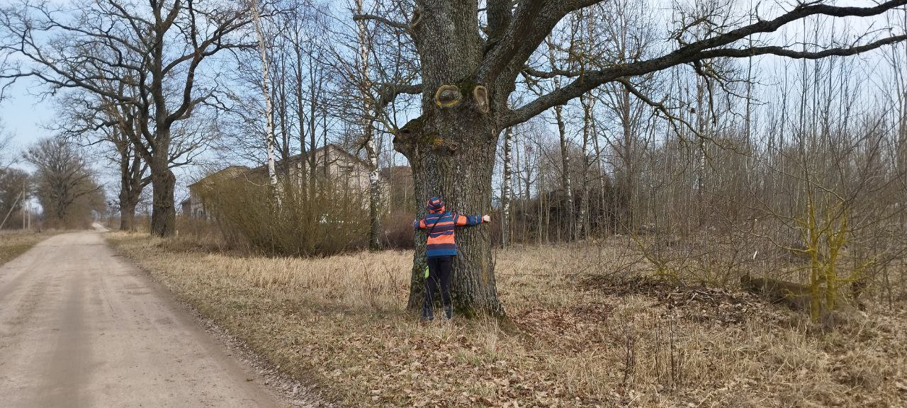 2 sklypai Prienų r. sav., Balbieriškio sen., Vartų k.