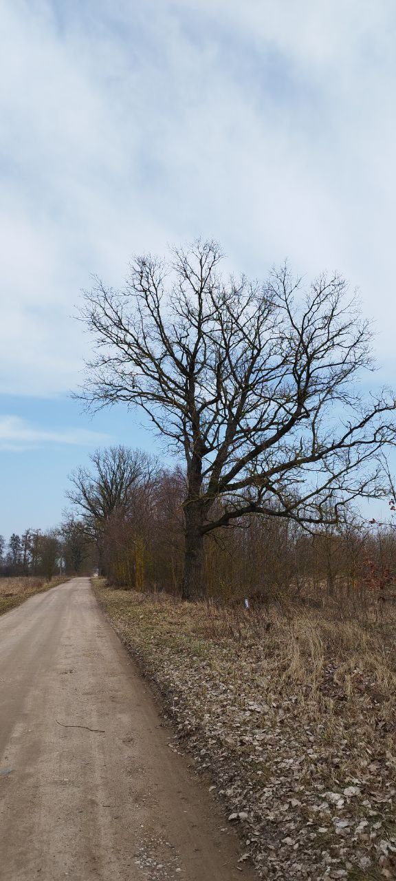 2 sklypai Prienų r. sav., Balbieriškio sen., Vartų k.