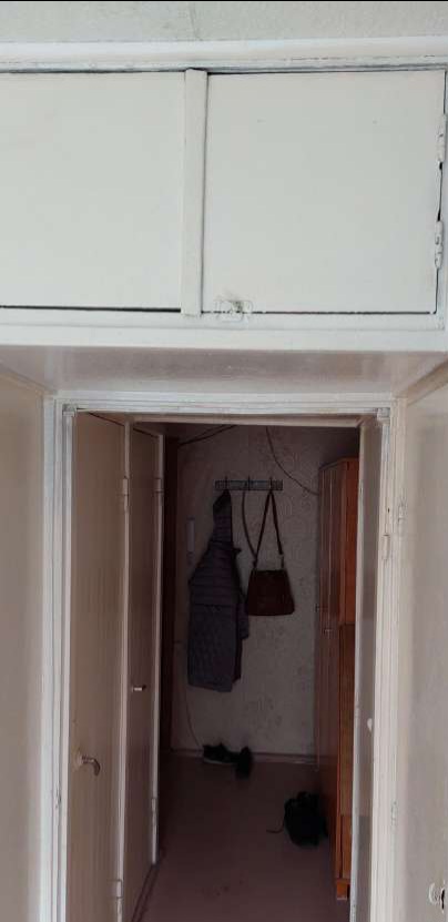 Naujakiemio g. parduodamas 1k. butas