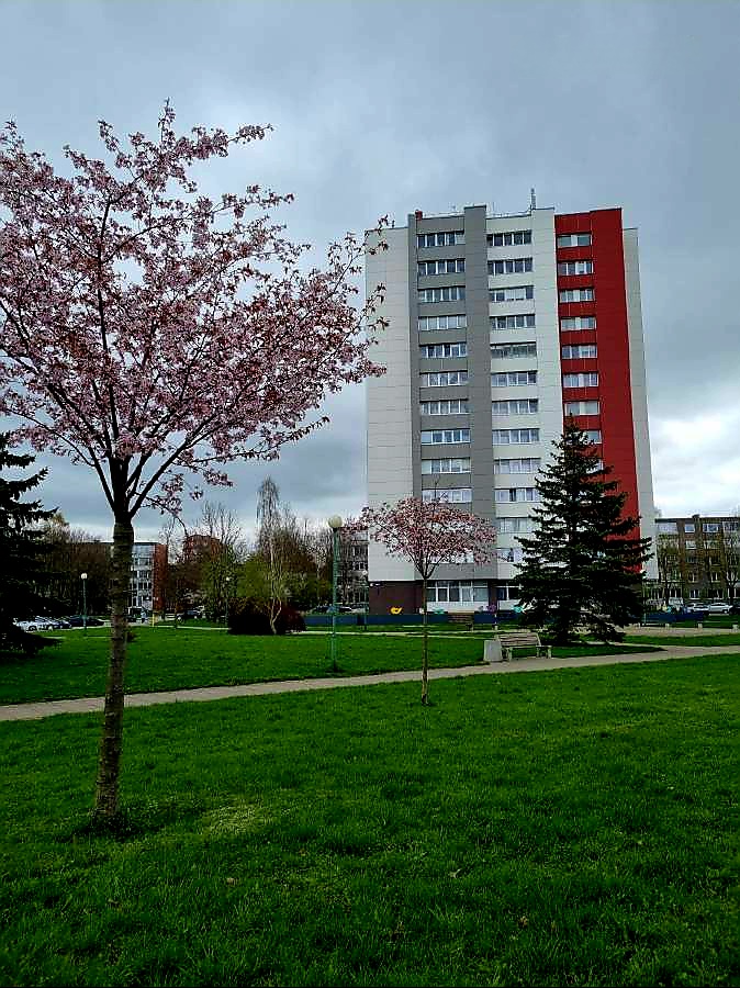 Renovuotame name parduodamas 1k.butas