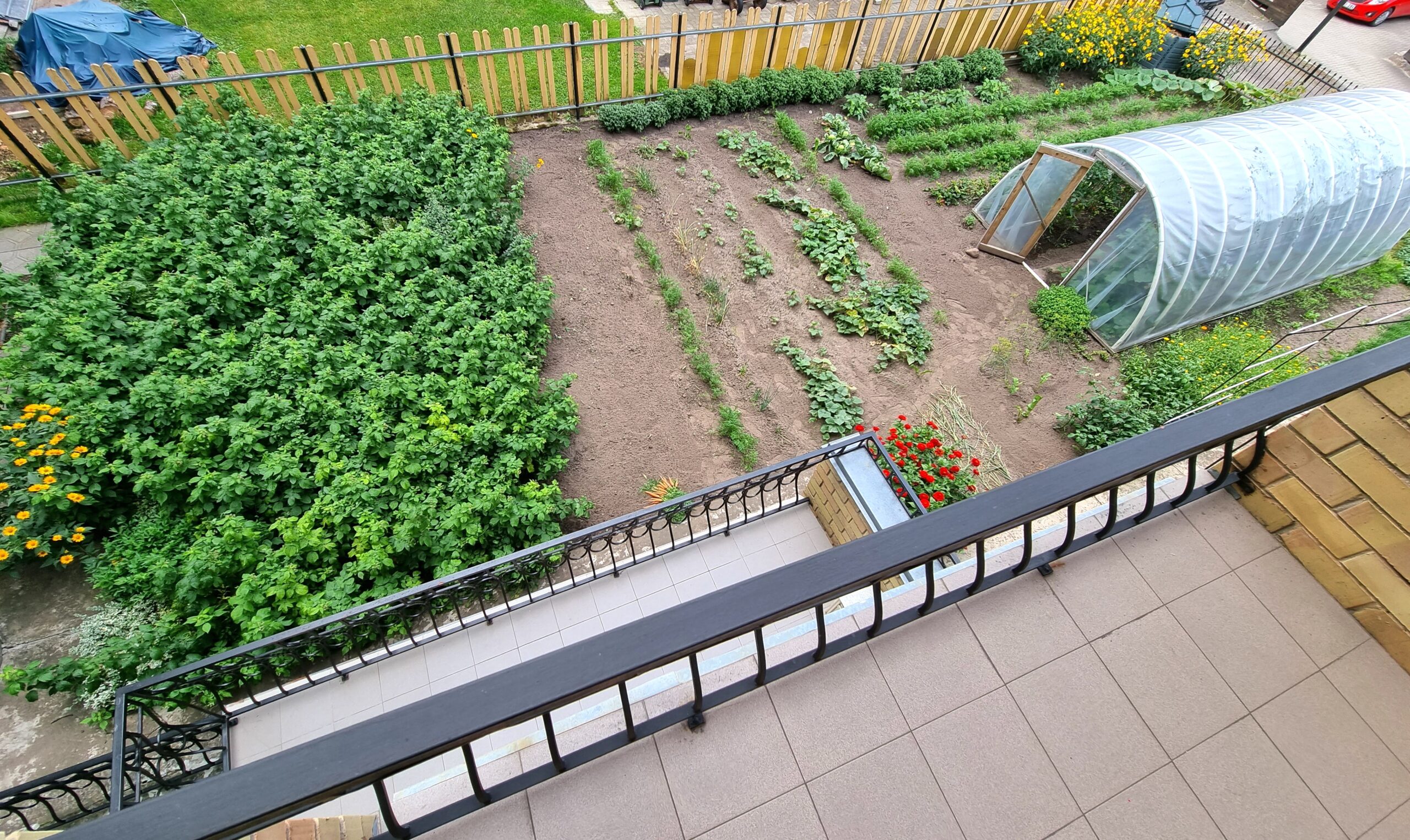 Parduodamas erdvus namas šalia miško