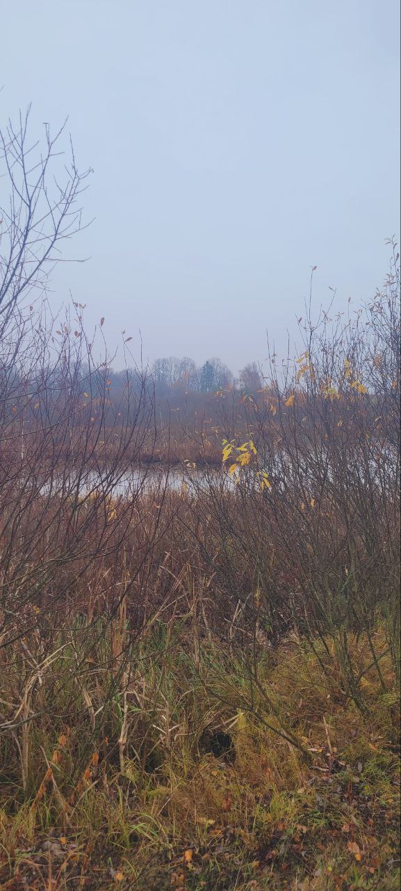 VARĖNOS R. SAV., TETERVINĖS K., ŽEMĖS ŪKIO PASKIRTIES SKLYPAS