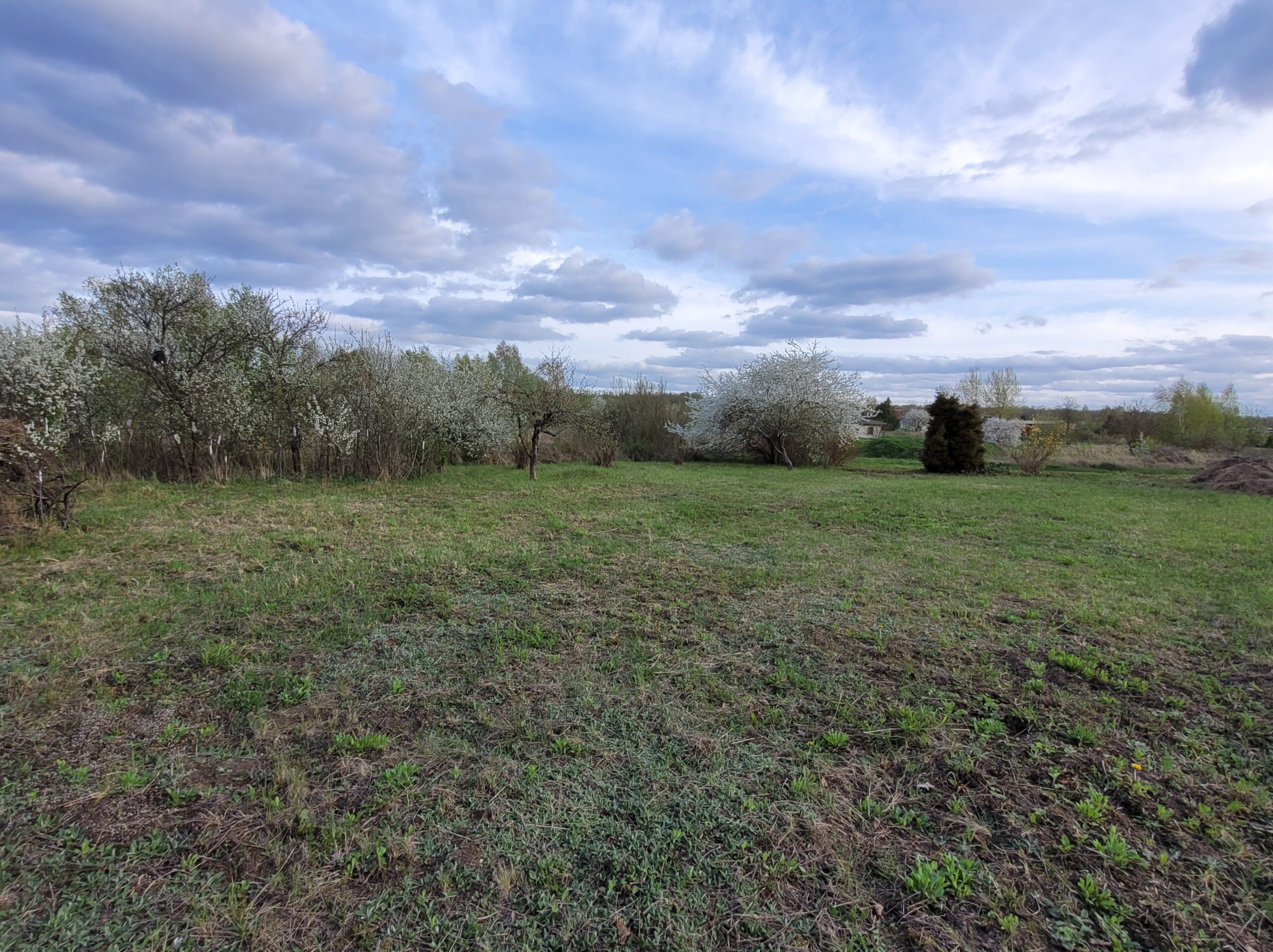 Parduodamas tuščias sklypas Marijampolės savivaldybėje Ąžuolyno kaime